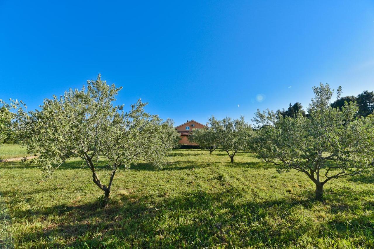 Holiday Home Taras Smilcic Экстерьер фото